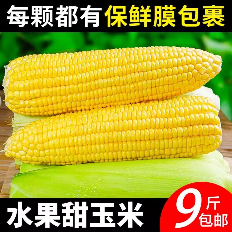 新鲜云南水果甜玉米新鲜现摘金银玉米新鲜玉米可榨汁即食现摘带皮