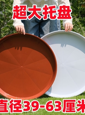 花盆托盘特大号圆形底座塑料花盘接水盘底托盘盆垫超大