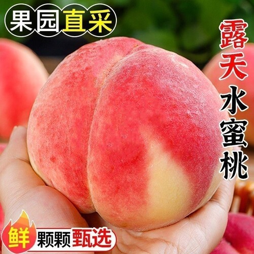 水蜜桃新鲜水果大毛桃