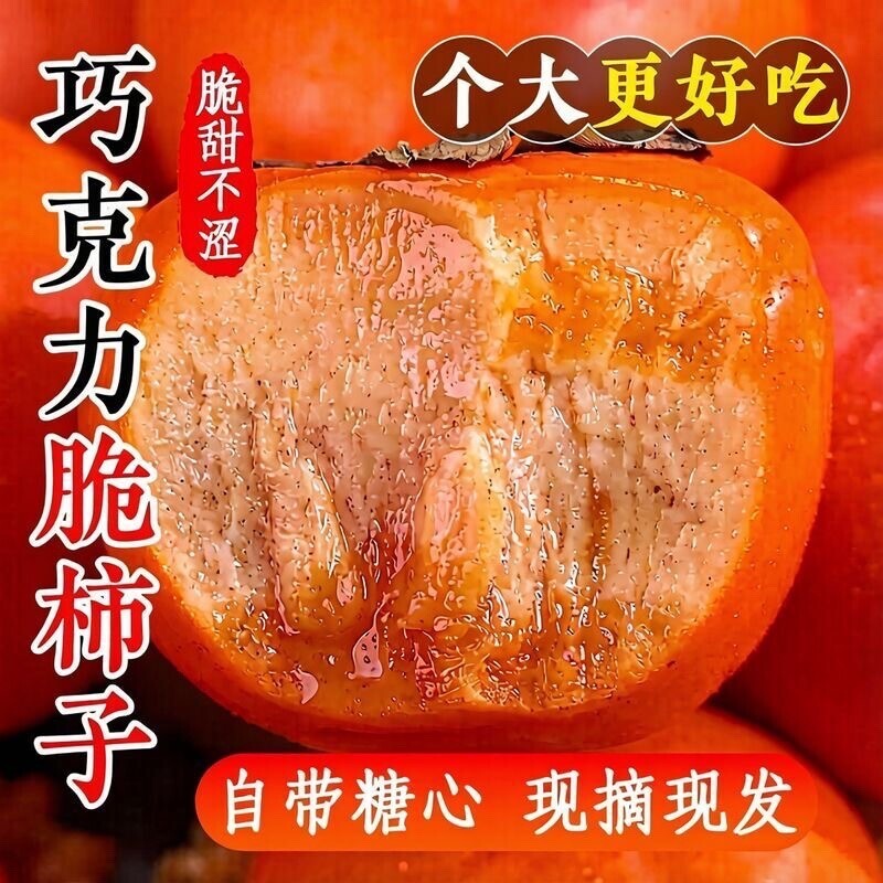 正宗巧克力脆柿子9斤新鲜水果当季整箱黄硬大果甜柿火晶柿冰糖心