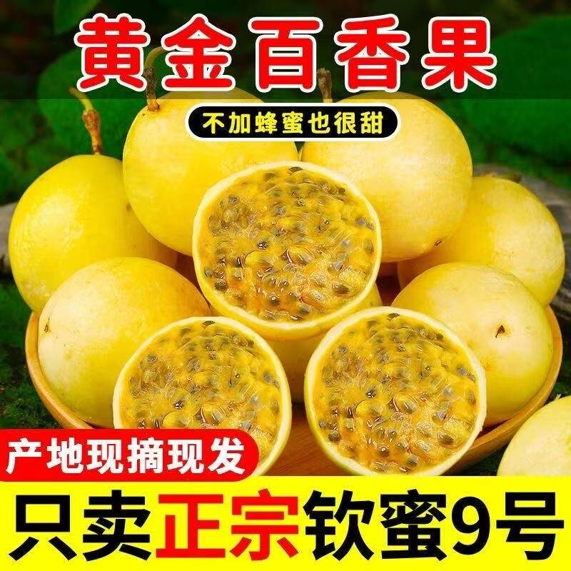 广西钦蜜9号黄金百香果新鲜应当季水果甜蜜多汁皱皮原浆现摘现发D