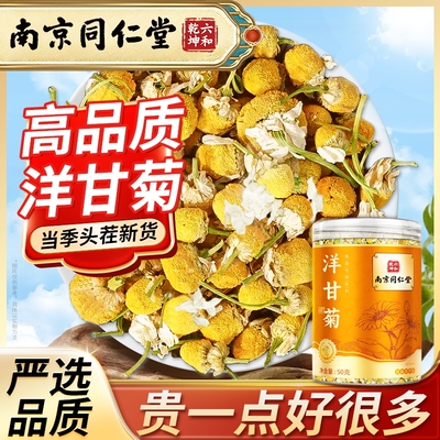 丽天承南京同仁堂洋甘菊50g洋甘菊茶泡加班熬夜泡水喝的新货正品