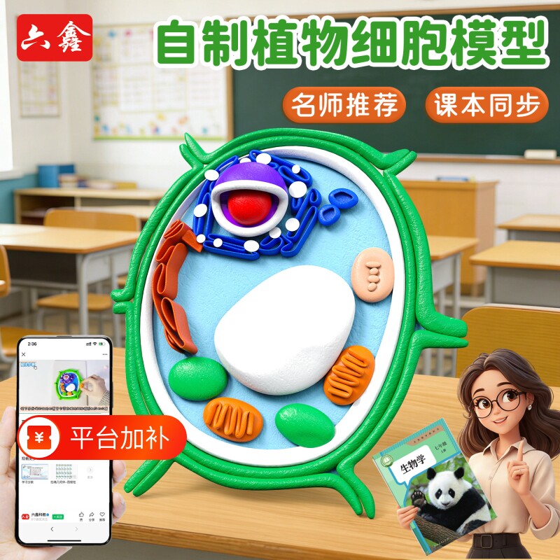 动植物细胞模型DIY手工制作真核材料包七年级初一生物作业细菌di