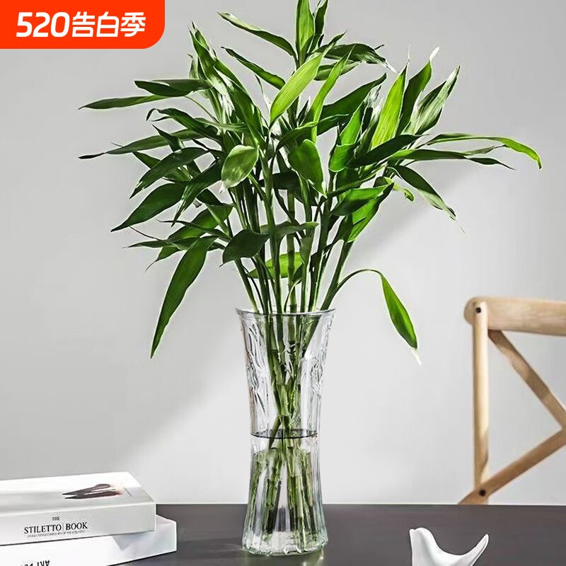 特大号玻璃花瓶透明水养富贵竹办公餐桌客厅家用插干花瓶装饰摆件