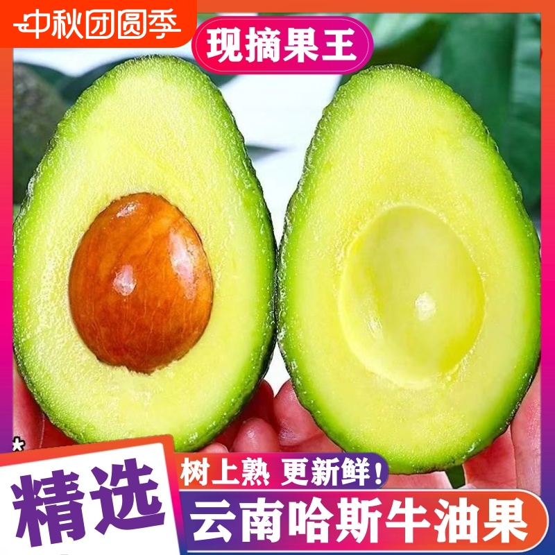 SVIP云南哈斯牛油果奶酪香甜