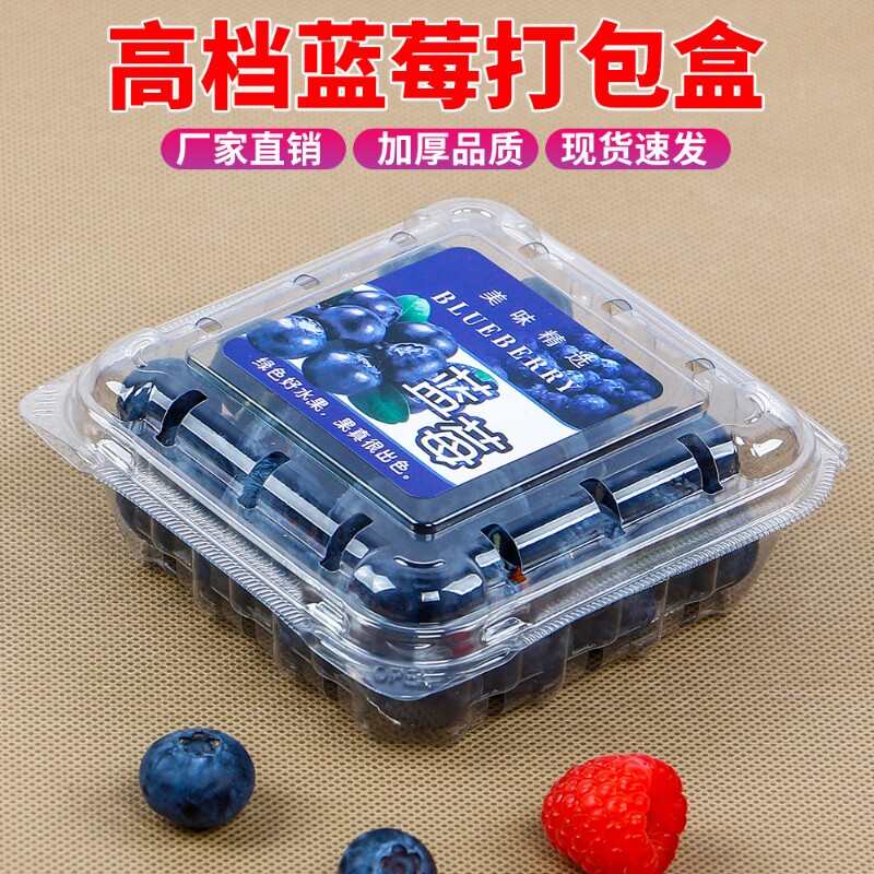 125克蓝莓水果包装盒子一次性塑料透明长方形桑葚盒树莓桑果盒
