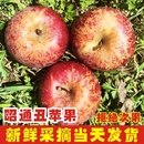 2026年云南昭通丑苹果新鲜昭通市冰糖心富士苹果水果当季 整箱