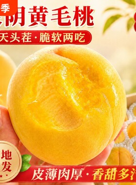 山东蒙阴黄桃黄金桃新鲜水果软硬水蜜桃毛桃子锦绣黄桃现摘沂蒙山