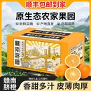 新鲜水果橙子精品甜橙 正宗赣南脐橙整箱10斤多汁当季 顺丰到家