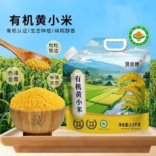 东北有机黄小米新米杂粮5斤装 25年朝阳正宗优质金苗K1粥米脂五谷