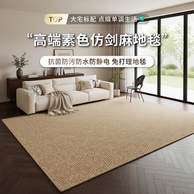 仿剑麻地毯客厅耐磨仿猫爪免洗侘寂中古风地垫奶油高级卧室床边毯