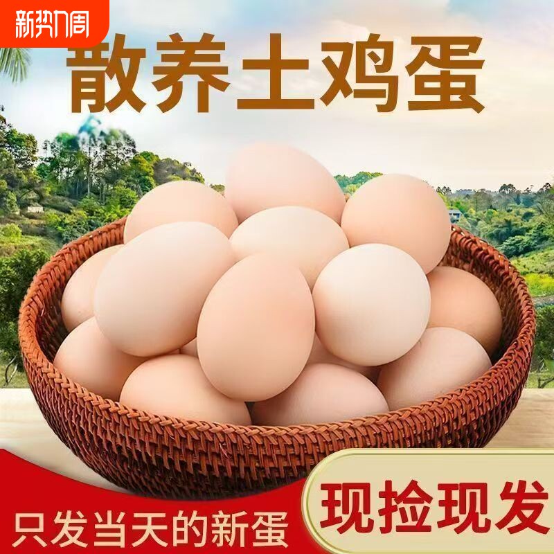 农家新鲜鸡蛋现捡散养柴鸡蛋营养鲜鸡蛋土鸡蛋月子蛋整箱批发早餐
