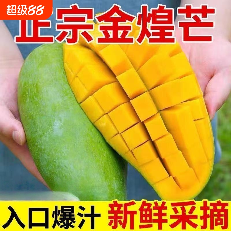 【超甜】广西金煌芒新鲜青皮芒果应季水果金黄水仙芒百色芒果青芒