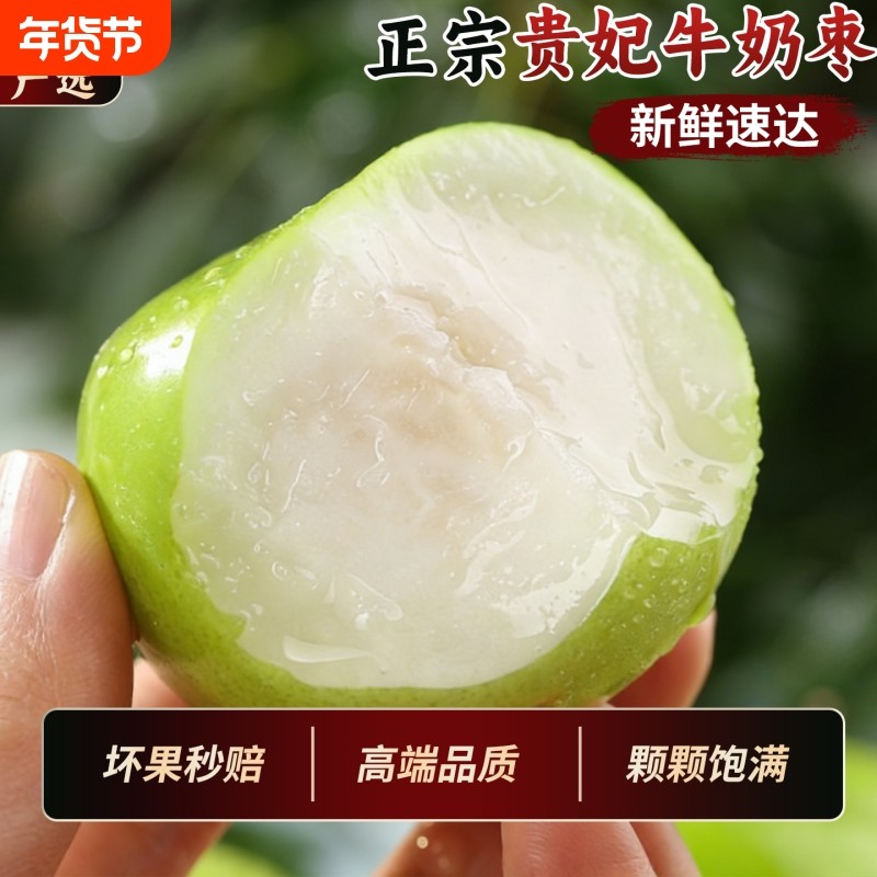 正宗福建贵妃牛奶枣应当季新鲜大青枣脆甜现摘苹果枣水果整箱包邮,水产肉类/新鲜蔬果/熟食,枣,淘宝优惠券,粉丝福利购,淘宝优惠卷