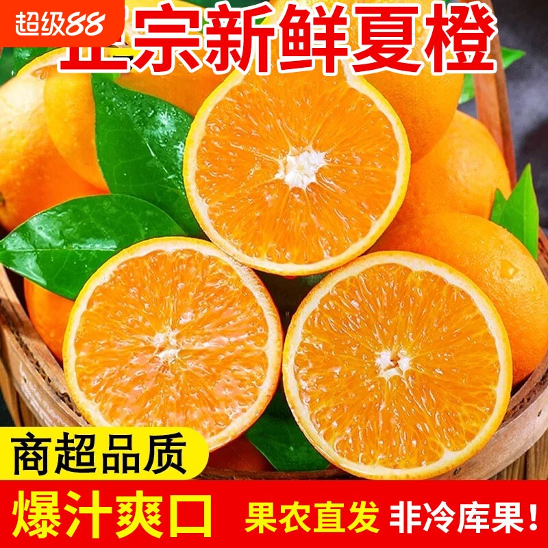 秭归夏橙脐橙子湖北手剥橙果冻甜橙整箱橙子水果新鲜优选现摘图片
