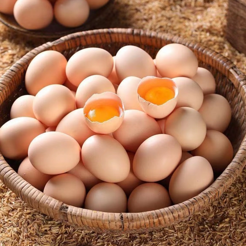 新鲜土鸡蛋20枚40克农家散养鲜鸡蛋土鸡蛋柴鸡蛋整箱现捡