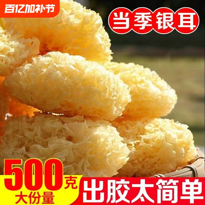 大朵银耳古田菌状元糯银耳干货白木耳雪耳新鲜无硫200g丑耳莲子羹