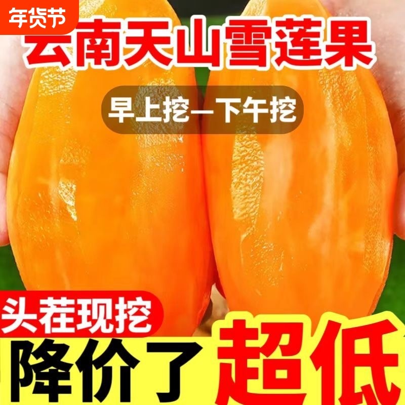【精选黄心】云南高山天山雪莲果新鲜水果当季孕妇云南红心雪连果,水产肉类/新鲜蔬果/熟食,雪莲果,淘宝优惠券,粉丝福利购,淘宝优惠卷