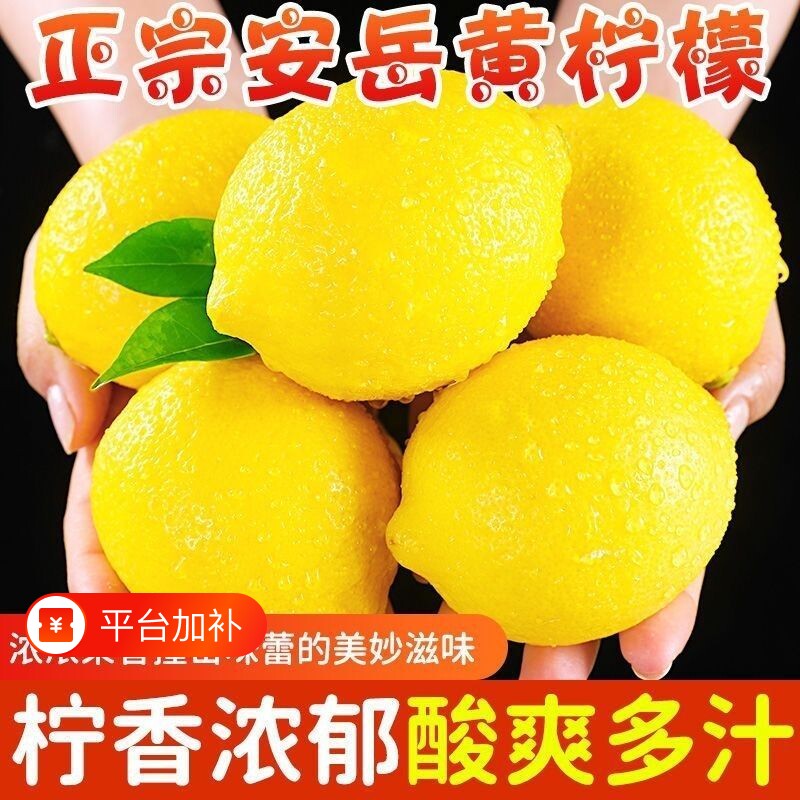 四川安岳黄柠檬新鲜当季一级柠檬奶茶店专用香水鲜柠檬正宗单品