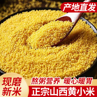 山西一级黄小米月子米五谷杂粮米糯小米农家黄米当季新粮5斤