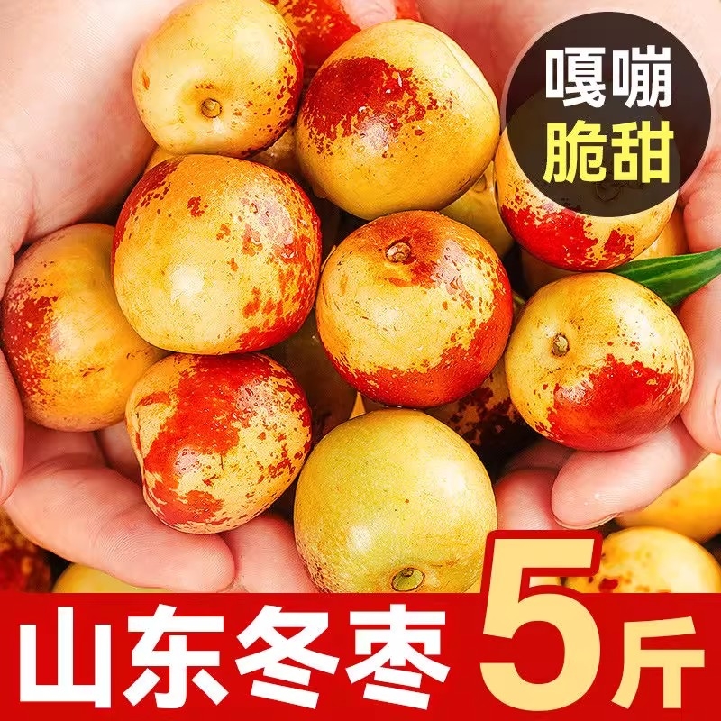正宗冬枣5斤枣子新鲜水果当季整箱包邮孕妇沾化青红枣特大脆甜枣