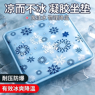 冰垫坐垫水垫冰凉枕学生教室夏天汽车宠物睡垫降温神器沙发凝胶