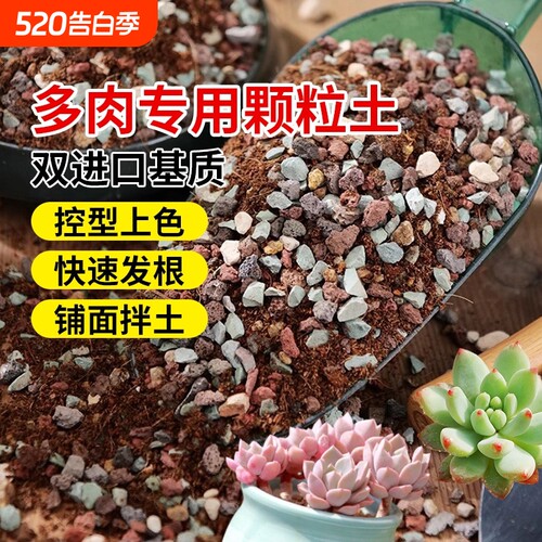 多肉专用泥炭营养土|千人回购