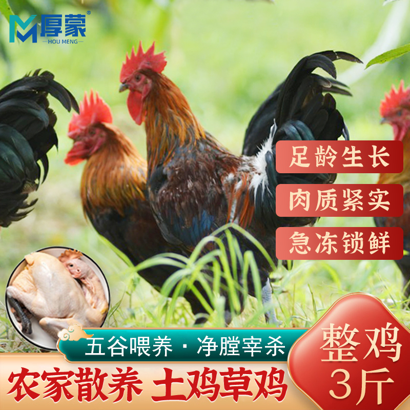 精选农家散养黑脚公鸡整鸡新鲜冷冻土鸡草鸡柴鸡炒鸡煲汤食材年货