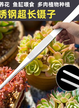 镊子不锈钢园艺长夹子大镊子取物加长鱼缸喂龟多肉专用下水道喂食
