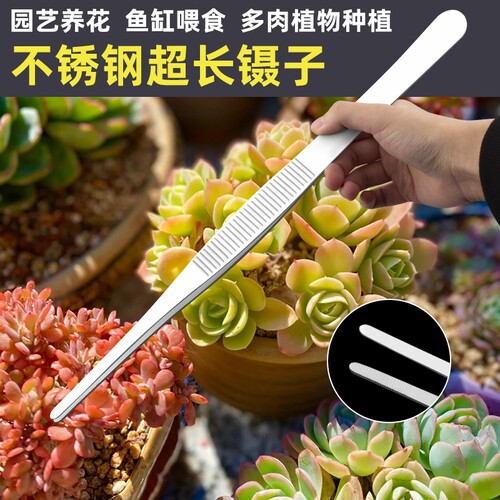 镊子不锈钢园艺长夹子大镊子取物加长鱼缸喂龟多肉专用下水道喂食