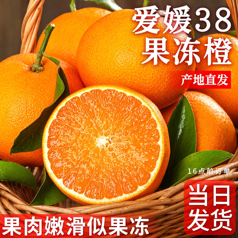 正宗爱媛果冻橙新鲜水果图片