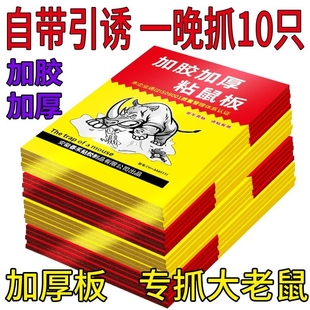 粘鼠板捕鼠神器粘大老鼠家用捕鼠夹厨房强力胶粘老鼠贴一窝端超强