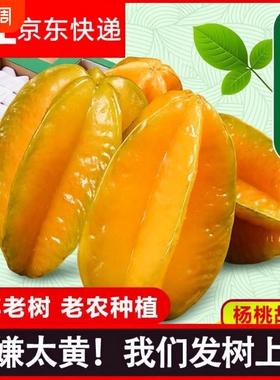 顺丰京东杨桃水果下河彩箱礼盒新鲜孕妇水果大果纯甜多汁树上熟