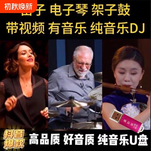 2025纯音乐电子琴优盘