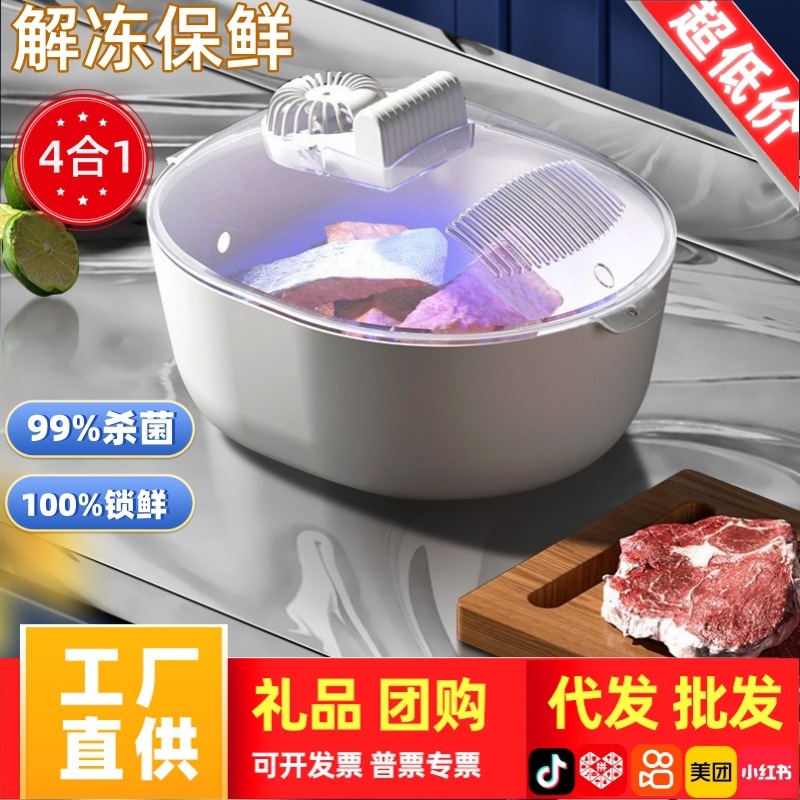 解冻器全自动德国家用恒温厨房肉类保鲜牛排快速沥水多功能