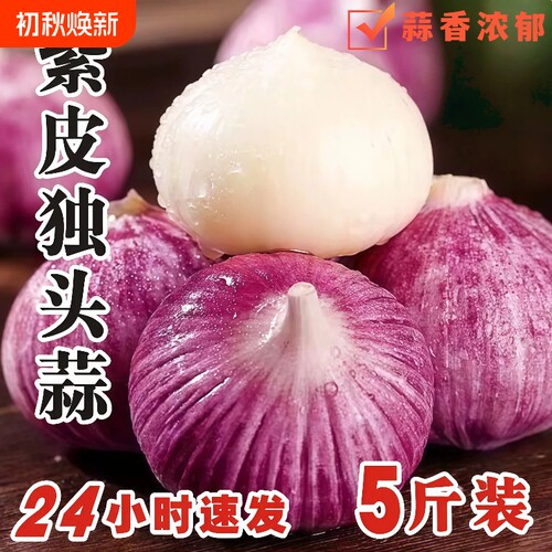云南紫皮独头蒜新鲜5斤当季现挖大蒜农家自种干蒜优质特大果蔬菜