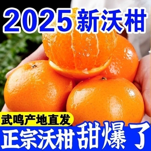 彩箱装 沙糖蜜橘砂糖柑橘大精品 广西武鸣沃柑10斤新鲜橘子水果当季