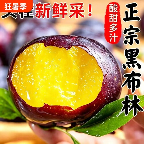 黑布林李子正宗新鲜应季孕妇水果现摘酸甜黑宝石黄肉李子整箱包邮