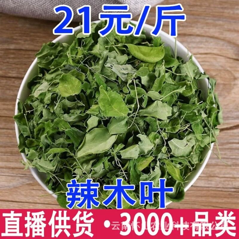 辣木叶 云南辣木籽叶 辣木干叶片自然晾晒 辣木叶批发代发