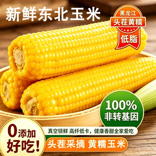 东北黄糯玉米香甜软糯新鲜玉米黑土种植产地直发真空包装加热即食