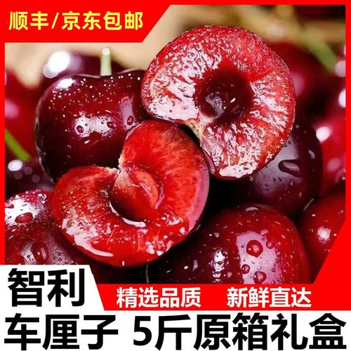 【5斤礼盒装】现货智利进口车厘子新鲜当季水果顺丰包邮多汁