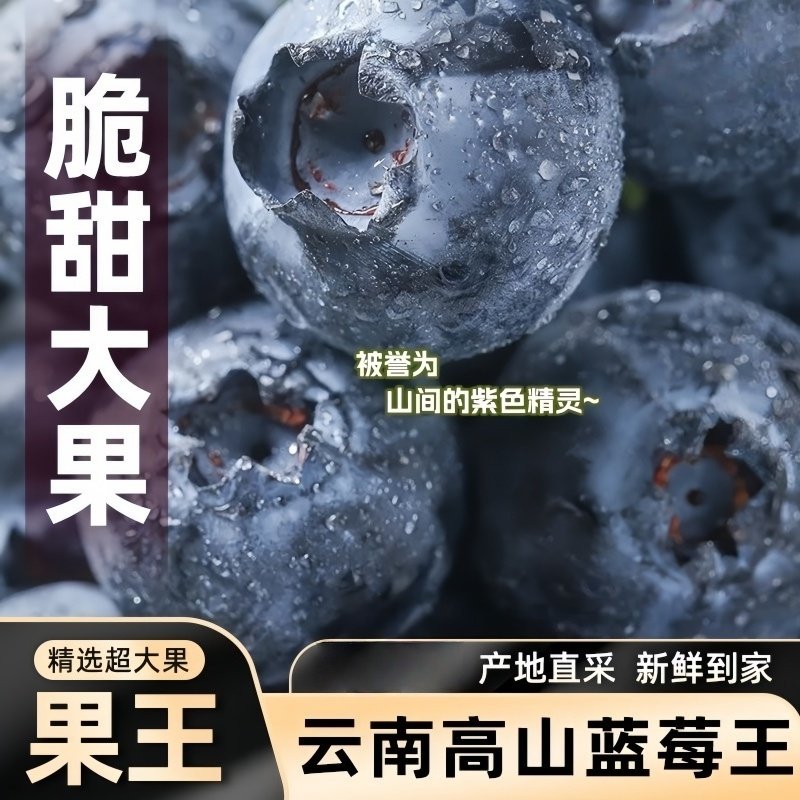 果王稀缺巨无霸蓝莓大果鲜果孕妇新鲜蓝莓现摘云南当季蓝莓大果,水产肉类/新鲜蔬果/熟食,蓝莓,淘宝优惠券,粉丝福利购,淘宝优惠卷