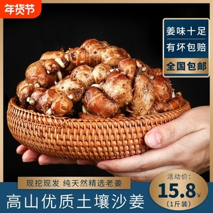 沙姜批发新鲜广东粤西特产山奈白切鸡椰子鸡调配料老姜包邮生姜