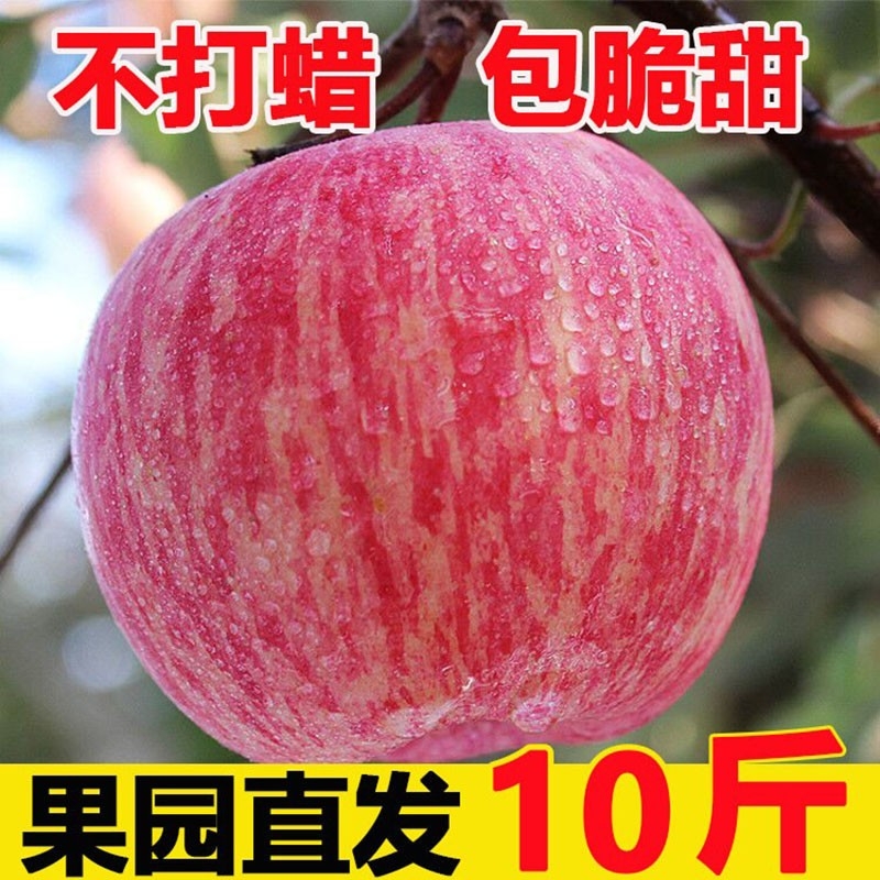 红富士苹果水果当季现摘新鲜脆甜陕西苹果冰糖心不打蜡整箱特价