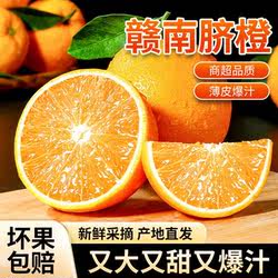 现摘正宗10斤赣南脐橙信丰会昌寻乌脐橙应季水果新鲜橙子产地直发