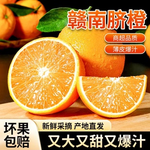 现摘正宗10斤赣南脐橙信丰会昌寻乌脐橙应季水果新鲜橙子产地直发