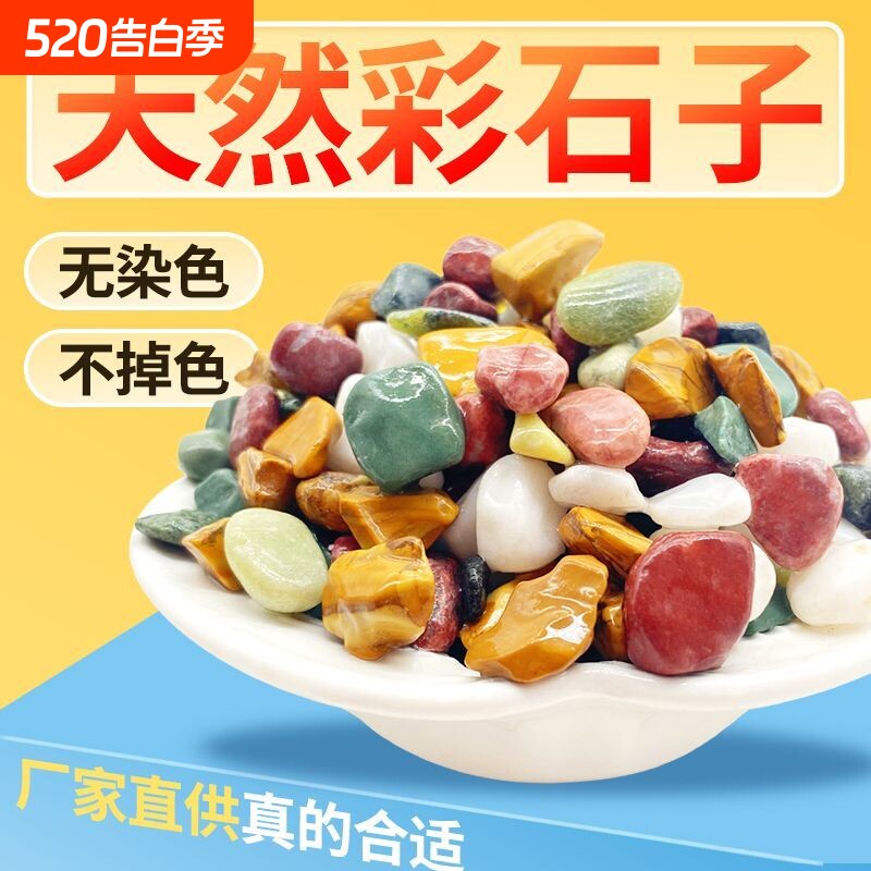 天然五彩石雨花石鱼缸造铺底盆栽水培多肉植物铺面装饰小石头
