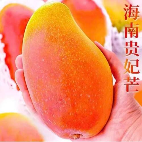海南贵妃芒新鲜芒果当季水果树上熟红金龙大果甜心辣椒芒果整箱