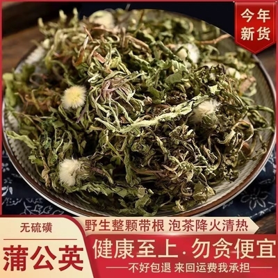 蒲公英带根干货500g新鲜浦公英中药材蒲公英茶不特级野生当季采摘