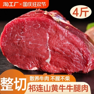 肉少侠甘肃祁连山黄牛牛腿肉新鲜正宗散养生牛肉商用烧烤批发优选